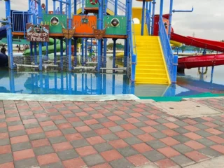 unnamed-2026-02-06T080939.787